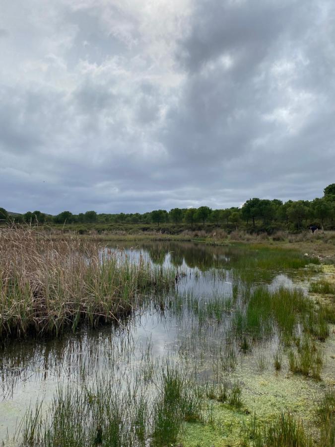 Herdade De Alagaes Mértola Εξωτερικό φωτογραφία